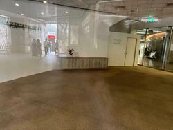 51 Cuppage Road (D9), Retail #563731671